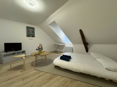 Apartment Wohnung in Le Mans nahe Altstadt - Features photo 7