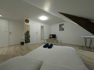 Apartment Wohnung in Le Mans nahe Altstadt - Features photo 12