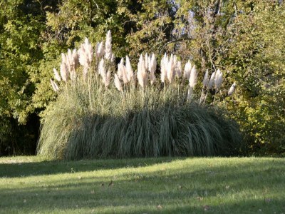 Villa Erleben Sie den Schlosstraum in Loire-Landschaft - Outdoor photo 7