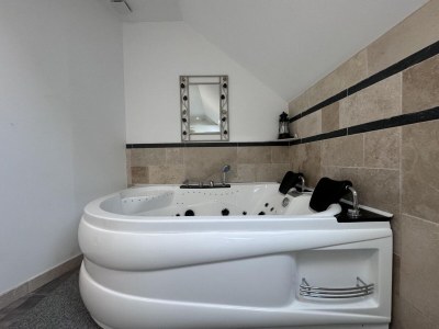 Holiday house Haus nahe Le Mans mit Spa - Features photo 19