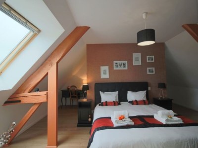 Villa Villa in Moncé-en-Belin nahe Le Mans - Features photo 27