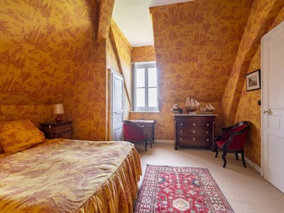 Villa Schloss in Sarthe mit beheiztem Pool - Features photo 35