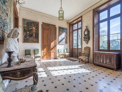 Villa Schloss in Sarthe mit beheiztem Pool - Features photo 43