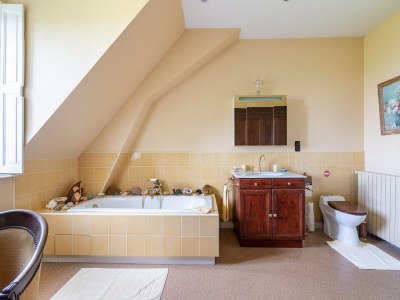 Villa Schloss in Sarthe mit beheiztem Pool - Features photo 54