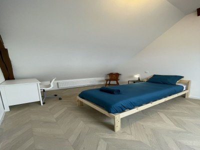 Apartment Duplex in Noyen-sur-Sarthe near Le Mans - Features photo 2