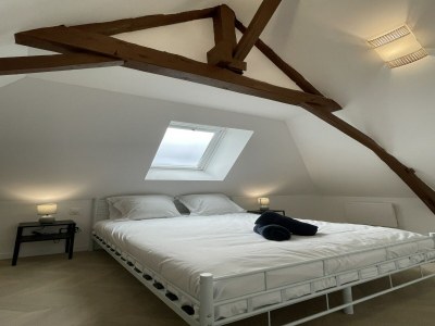 Apartment Duplex in Noyen-sur-Sarthe near Le Mans - Features photo 12