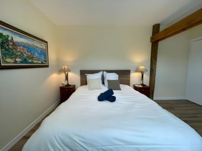 Holiday house Barn in Sarthe with Private Heated Pool - Features photo 17