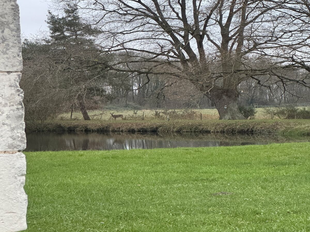 Chalet Chalet in Aubigné-Racan mit Pool und Garten - Outdoor photo 2