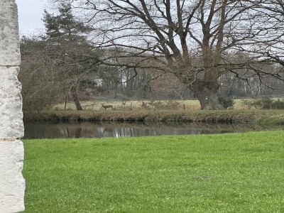 Chalet Chalet in Aubigné-Racan mit Pool und Garten - Outdoor photo 2