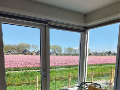 Holiday house Eureka 102 - Outdoor photo 6