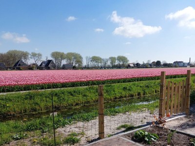 Holiday house Eureka 102 - Outdoor photo 19