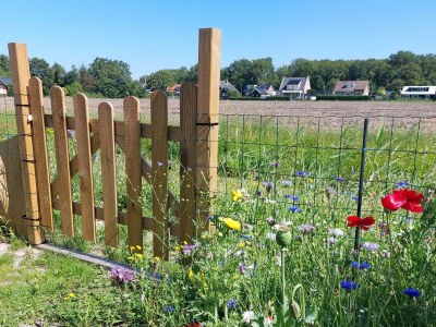 Holiday house Eureka 102 - Outdoor photo 20