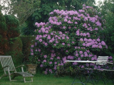 Holiday house Eureka 102 - Outdoor photo 22