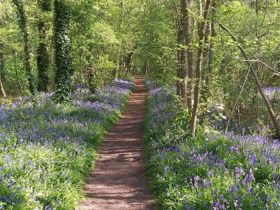 Holiday house Eureka 102 - Outdoor photo 23