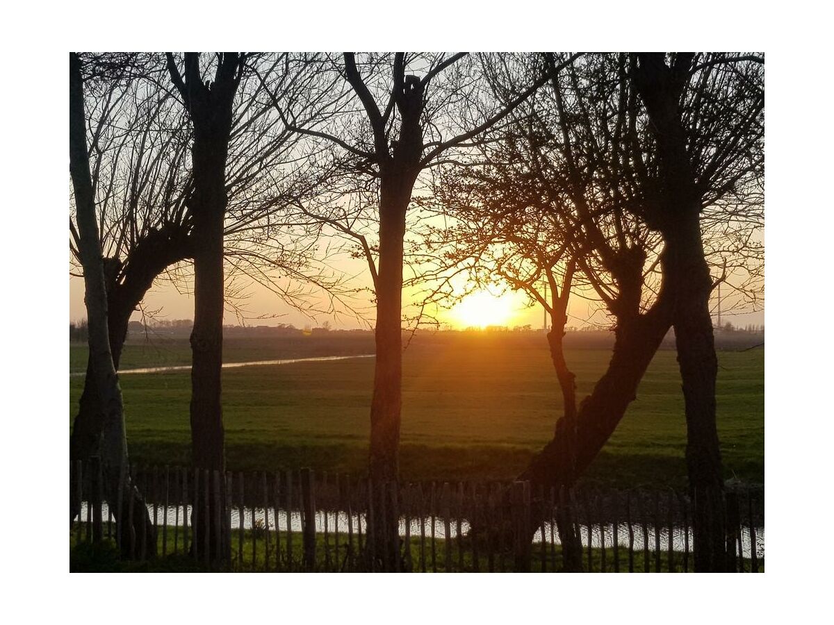 Holiday house Vogelvrij 5 - Outdoor photo 2