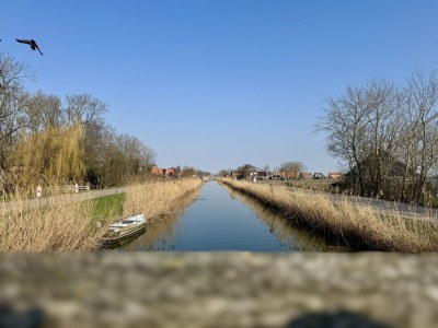 Holiday house Vogelvrij 5 - Outdoor photo 10