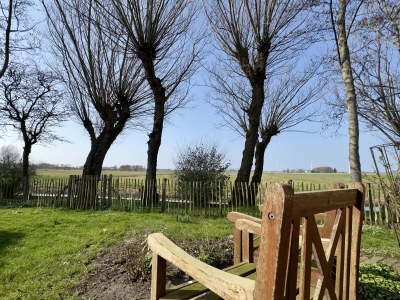 Holiday house Vogelvrij 5 - Outdoor photo 11