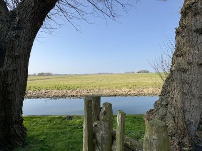 Holiday house Vogelvrij 5 - Outdoor photo 12