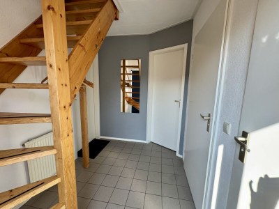 Holiday house Vogelvrij 5 - Outdoor photo 22