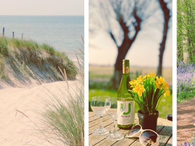 Holiday house Vogelvrij 5 - Outdoor photo 26