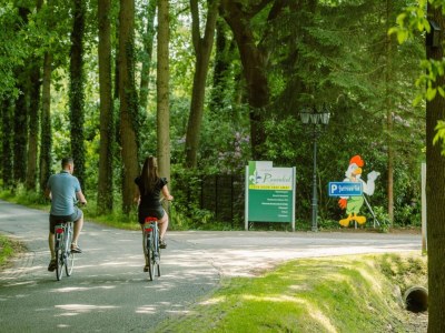 Holiday house Chalet in den Niederlanden am Badesee - Environment photo 13