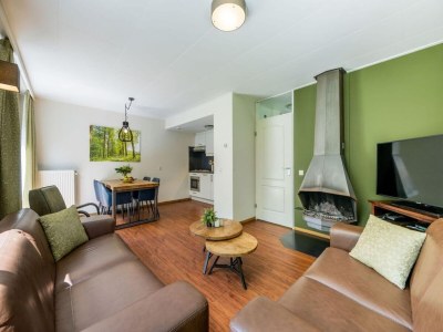 Holiday house Luxushaus in Niederlande mit Sauna - Features photo 4