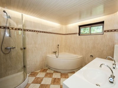 Holiday house Villa in Scherpenzeel near Veluwe Forest - Features photo 7