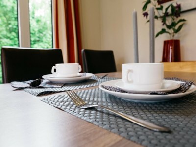 Holiday house Villa in Scherpenzeel near Veluwe Forest - Outdoor photo 23