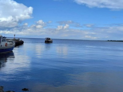 Holiday house 4 star holiday home in Haderslev - Outdoor photo 7