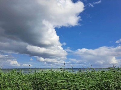 Holiday house 4 star holiday home in Haderslev - Outdoor photo 9