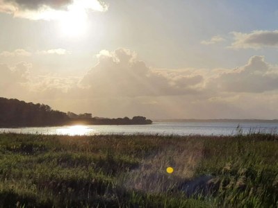 Holiday house 4 star holiday home in Haderslev - Outdoor photo 10