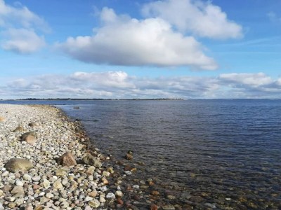 Holiday house 4 star holiday home in Haderslev - Outdoor photo 12