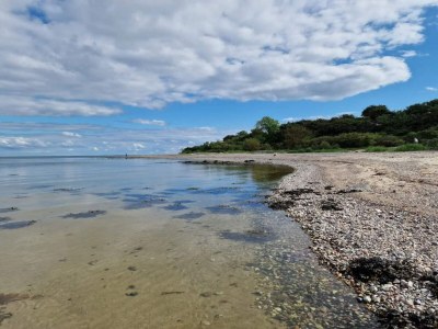 Holiday house 4 star holiday home in Haderslev - Outdoor photo 14