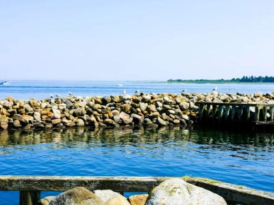 Holiday house 4 star holiday home in Haderslev - Outdoor photo 34