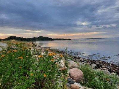 Holiday house 4 star holiday home in Haderslev - Outdoor photo 35