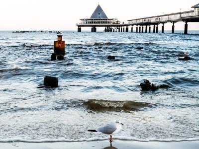 Holiday house XXL Ferienhaus in Heringsdorf - Environment photo 25