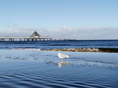 Holiday house XXL Ferienhaus in Heringsdorf - Environment photo 30