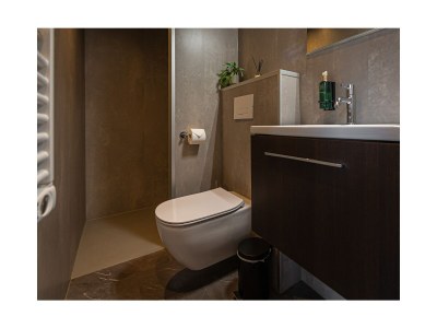 Holiday house Tiny House mit Hottub – Erholung zwischen Maastric - Features photo 9