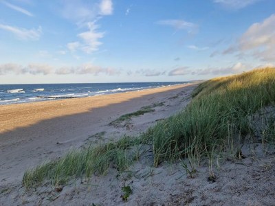Apartment Ferienwohnung für zwei Personen, Dierhagen - Environment photo 21