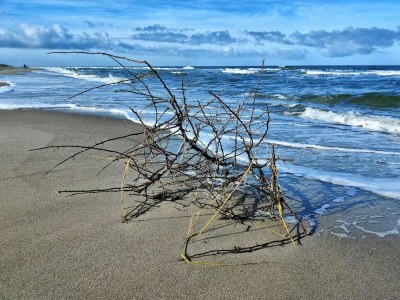 Apartment Ferienwohnung für zwei Personen, Dierhagen - Environment photo 26