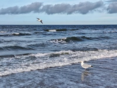 Apartment Ferienwohnung für zwei Personen, Dierhagen - Environment photo 38