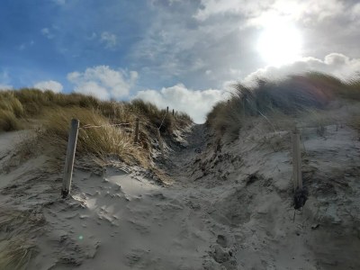 Apartment Ferienwohnung mit Terrasse in Dierhagen - Environment photo 17