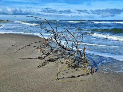 Holiday house Familienhaus für in Dierhagen - Environment photo 23