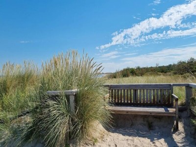 Holiday house Familienhaus für in Dierhagen - Environment photo 31