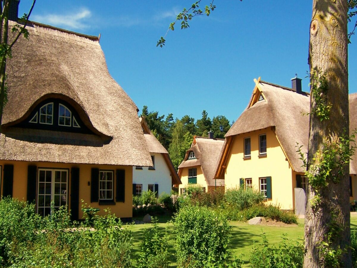 Holiday house Küstenwaldvilla in Dierhagen