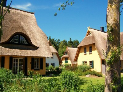 Holiday house Küstenwaldvilla in Dierhagen in Fischland-Darss-Zingst - Holiday house