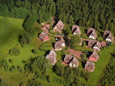 Holiday house Küstenwaldvilla in Dierhagen - Outdoor photo 3