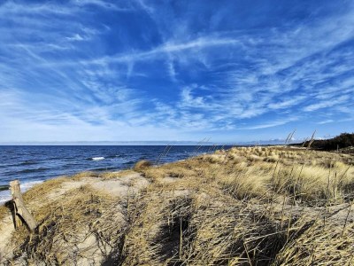 Holiday house Küstenwaldvilla in Dierhagen - Environment photo 18