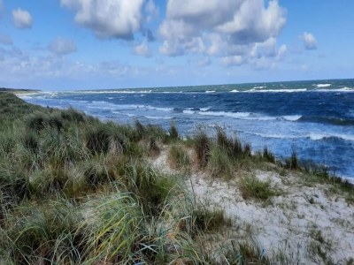 Holiday house Küstenwaldvilla in Dierhagen - Environment photo 23