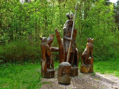 Holiday house Küstenwaldvilla in Dierhagen - Environment photo 37